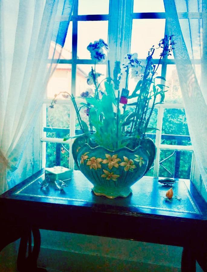 Bed and Breakfast Les Reves D'Angele Crain Экстерьер фото